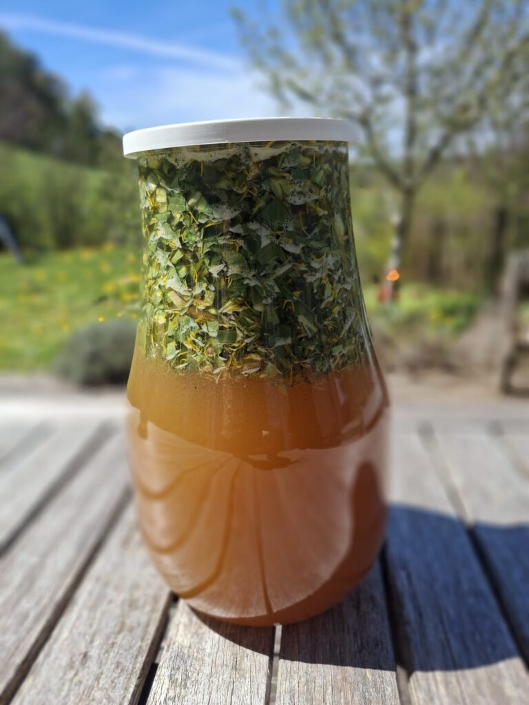 fertiges löwenzahnoxymel